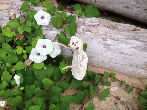 Micro Polo with large white flowers, Aug. 2014