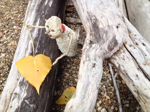 Micro Polo with a large yellow leaf, Aug. 2014