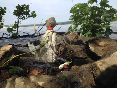 Micro Polo looks for his raft, Falls of the Ohio, Aug. 2014