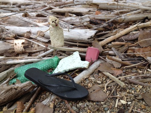 Micro Polo and the giant sandal, Aug. 2014