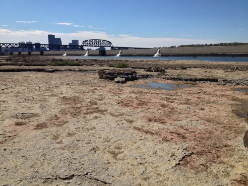 Fossil Beds at the Falls of the Ohio State Park, Sept. 2014