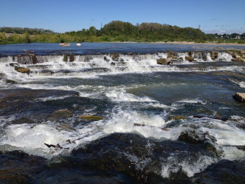 Cascades, Falls of the Ohio, Sept. 2014