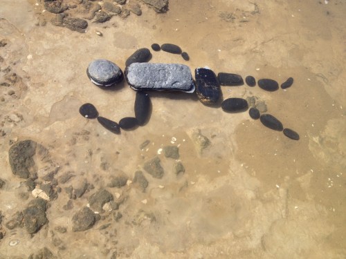 Coal Man Swimming, Falls of the Ohio, Sept. 2014
