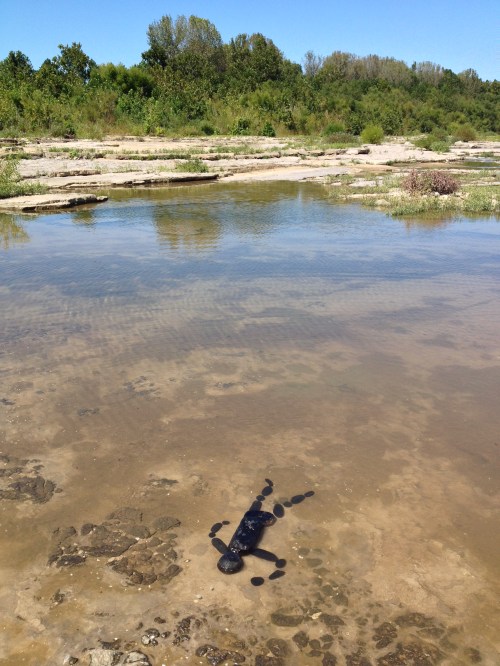 Coal Man Series, Falls of the Ohio, Sept. 2014