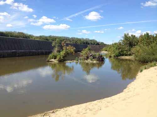 Scene along the northwest tip of Goose Island, Falls of the Ohio, Oct. 2014
