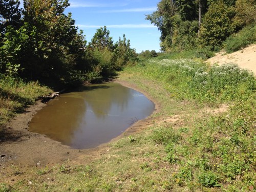 Evaporating pond on Goose Island, Falls of the Ohio, Oct. 2014