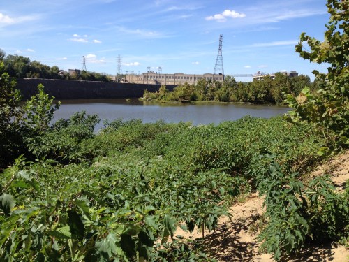 Goose Island with distant view of the hydroelectric dam, Falls of the Ohio, Oct. 2014