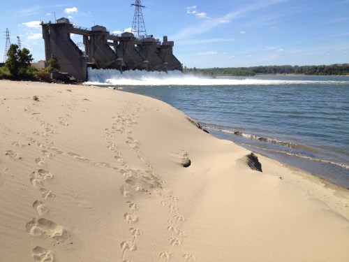 Goose Island sand dunes, Lower Tainter Gates in the background, Falls of the Ohio, Oct. 2014