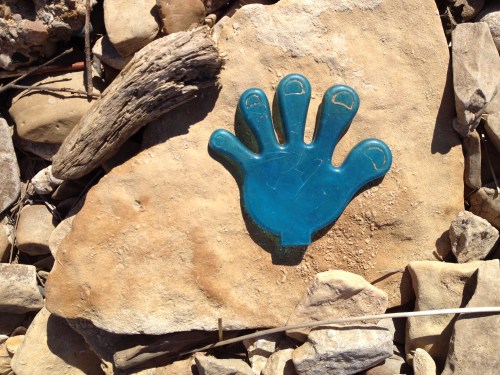 blue plastic hand on fossil rocks, Falls of the Ohio, Oct. 2014
