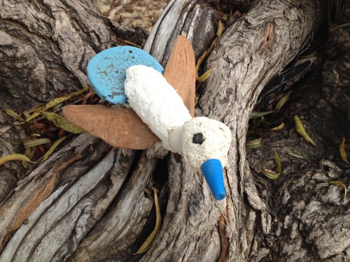 Fan-tailed Gnatcatcher, Falls of the Ohio, Oct. 2014