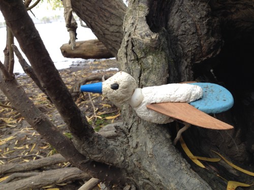 Fan-tailed Gnatcatcher, Falls of the Ohio, Oct. 2014