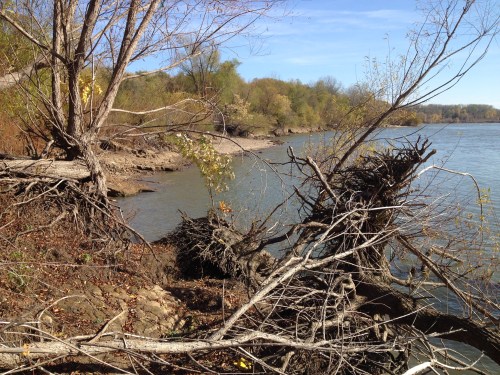 riverbank view by the Falls of the Ohio State Park, Nov. 2014
