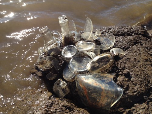 clear bottle glass assemblage, Falls of the Ohio, Nov. 2014