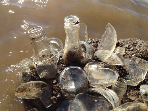 detail, clear bottle glass assemblage, Falls of the Ohio, Nov. 2014