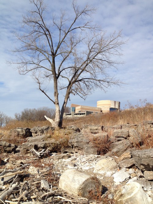 The Interpretive Center as seen from the riverbank, Falls of the Ohio, Nov. 2014