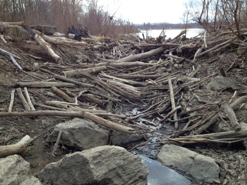 piled up driftwood, Falls of the Ohio, Dec. 2014