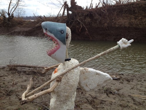 Shark Shepard, side view, Falls of the Ohio, Dec. 2014