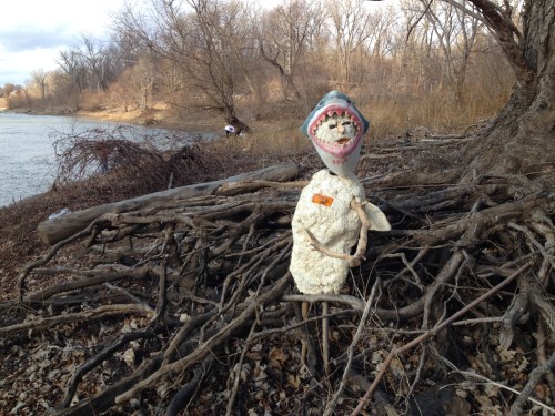 The Shark Shepard on the riverbank, Falls of the Ohio, Dec. 2014