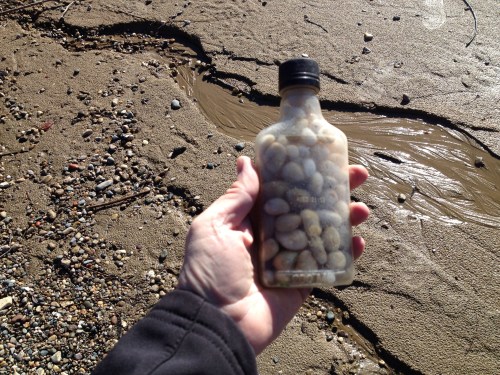 plastic liquor bottle filled with quartz pebbles, Falls of the Ohio, Jan. 2015