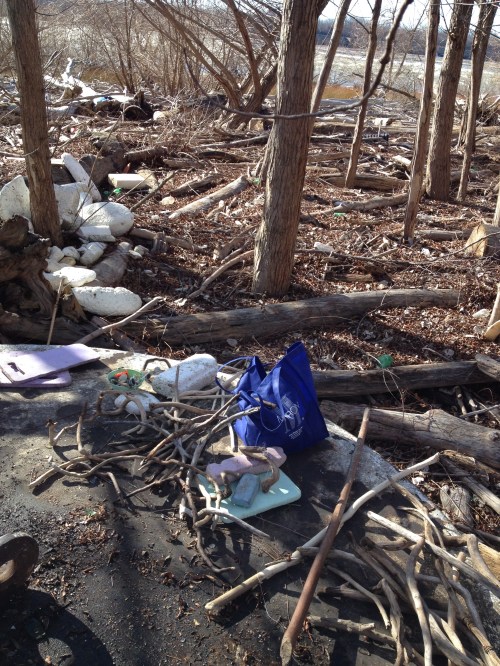 Outdoor studio view, Falls of the Ohio, Jan. 2015