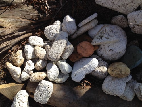 Detail, Styrofoam pieces, Falls of the Ohio, Jan. 2015