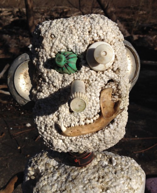 Finished head, Falls of the Ohio, Jan. 2015