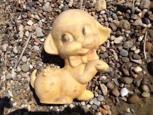 Bowtie dog with paw raised, Jan. 2015