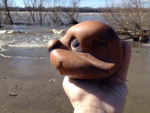 found, earless, plastic dog head, Jan. 2015