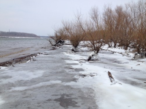 Winter view at the Falls of the Ohio State Park, Feb. 2015