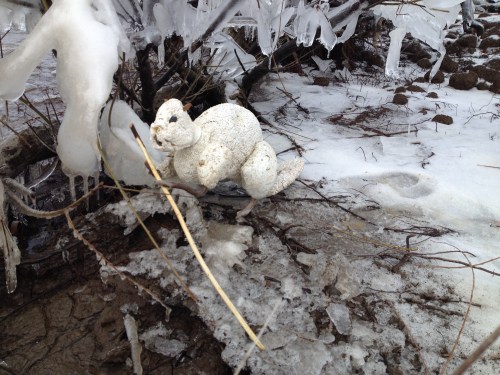 Polar Beaver with willow branch, Feb. 2015