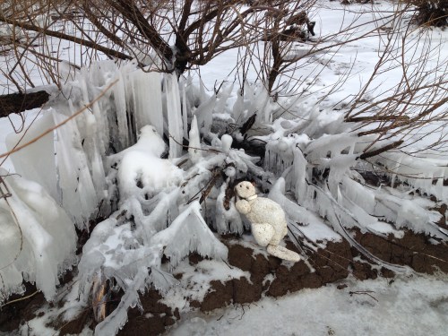 The Polar Beaver, Falls of the Ohio, Feb. 2015
