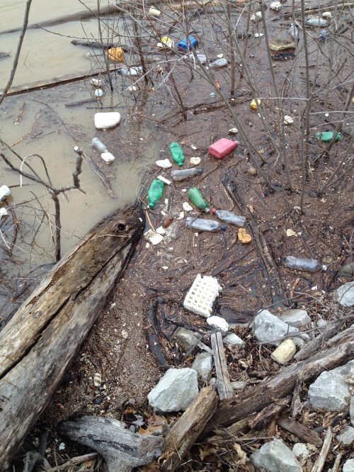 Garbage in a flooded river, Falls of the Ohio, March 9, 2015