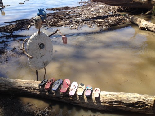 Shoe Shaman of the Big Blue Nation, Falls of the Ohio, April 2015