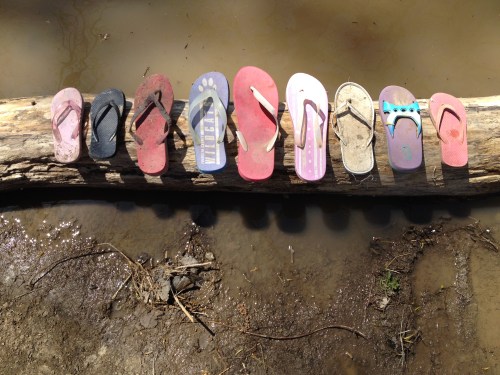 The Sandal, Wood Altar, Falls of the Ohio, April 2015
