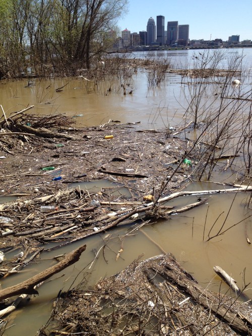 Mid April High Water, Falls of the Ohio, April 2015