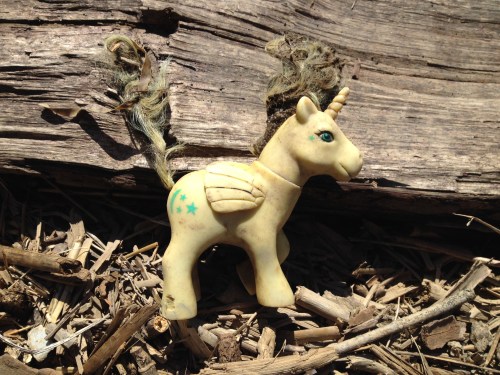 Plastic Pegasus/Unicorn toy, Falls of the Ohio, 2015