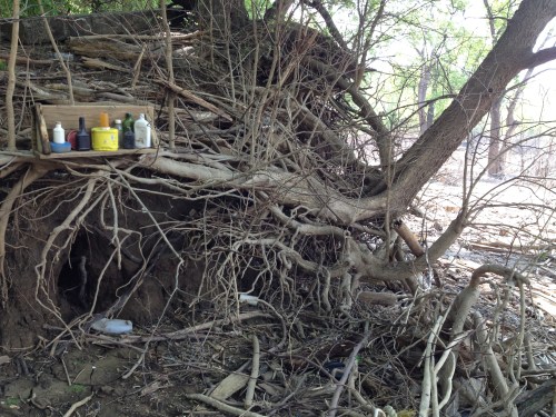 Bottle/Shelf in situ, Falls of the Ohio, May 2015