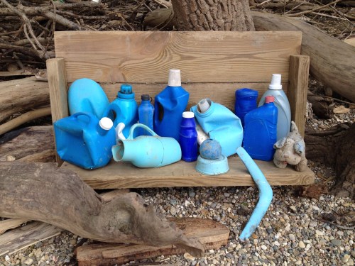 Arrangement in Blue Plastic, Falls of the Ohio, May 2015