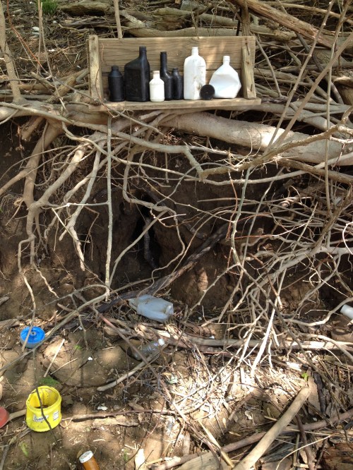 arrangement in Black and White Plastic, Falls of the Ohio, May 2015