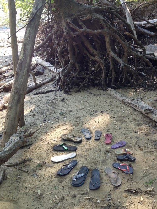 Family Circle, Falls of the Ohio, May 2015