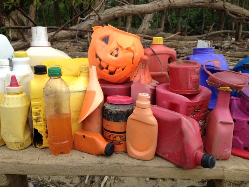 Detail of objects, Falls of the Ohio, May 2015