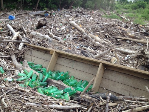 Beginning of green bottle/dock piece, Falls of the Ohio, May 2015