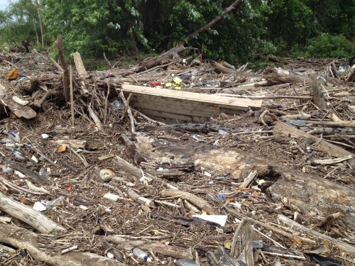 Driftwood mound with partially exposed wooden boat dock, Falls of the Ohio, May 2015