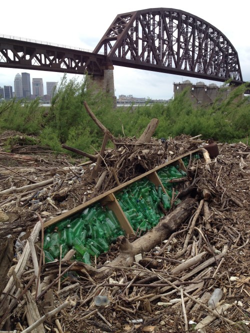 Green plastic bottles in ruined boat dock, Falls of the Ohio, May 2015