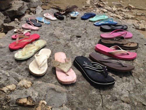 Flip Flops and fossils, Falls of the Ohio, May 2015