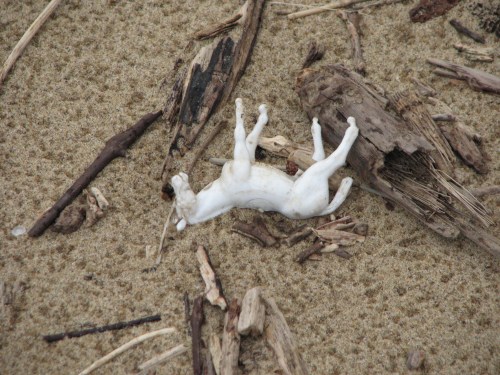 Small, white plastic horse, Falls of the Ohio
