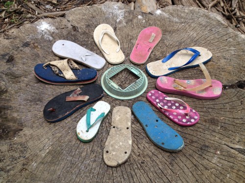 "Stump Flower", detail, Falls of the Ohio, June 2015