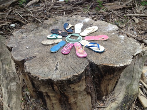 "Stump Flower", found flip flops, Falls of the Ohio, June 2015