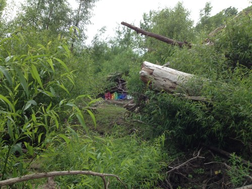 "Big Jug Rainbow" as seen from a distance, Falls of the Ohio, June 2015