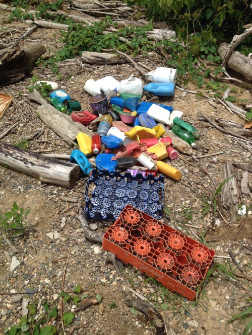 The days found plastic, mid  June 2015, Falls of the Ohio